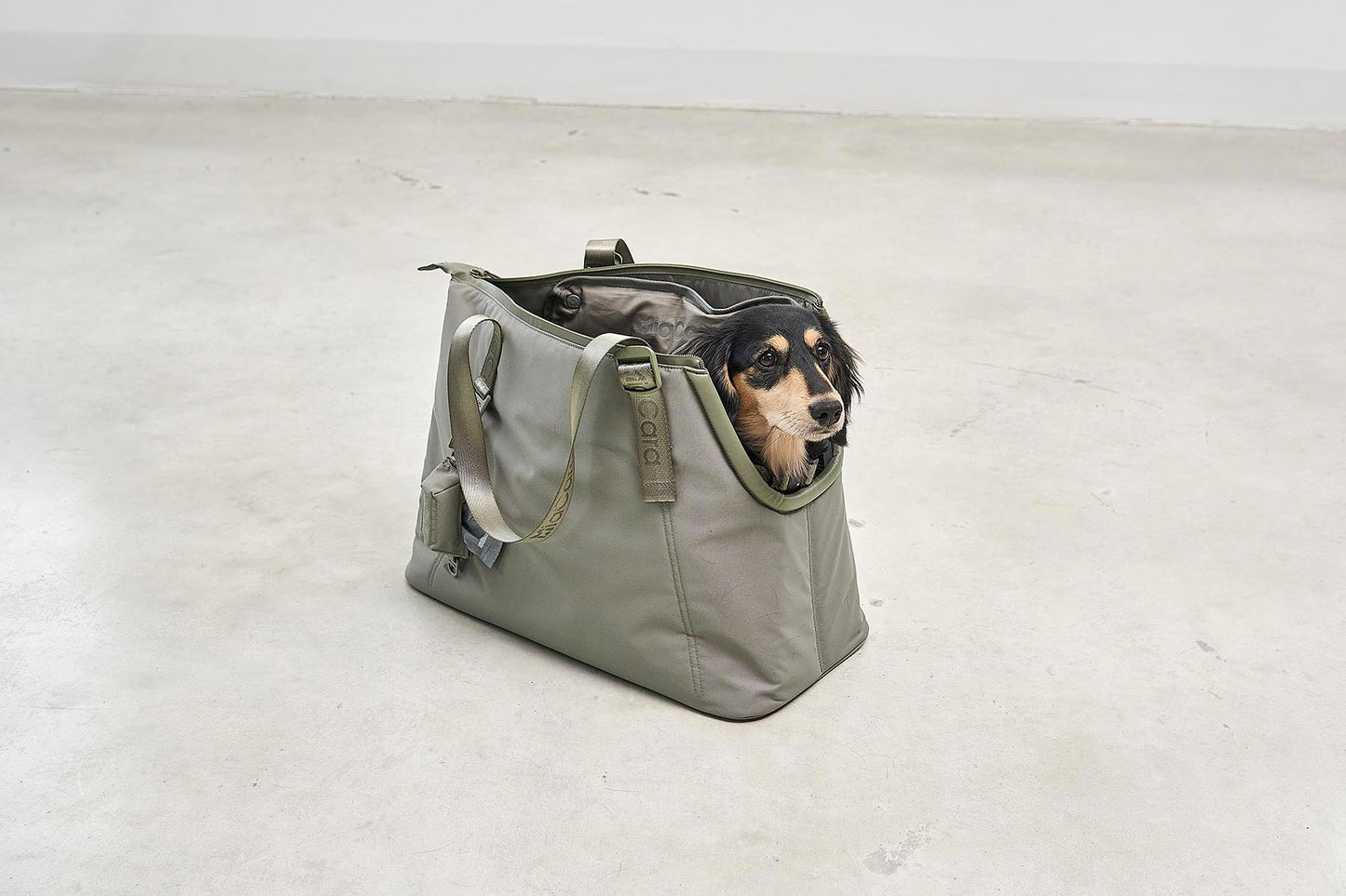 Sporta Hundetragetasche