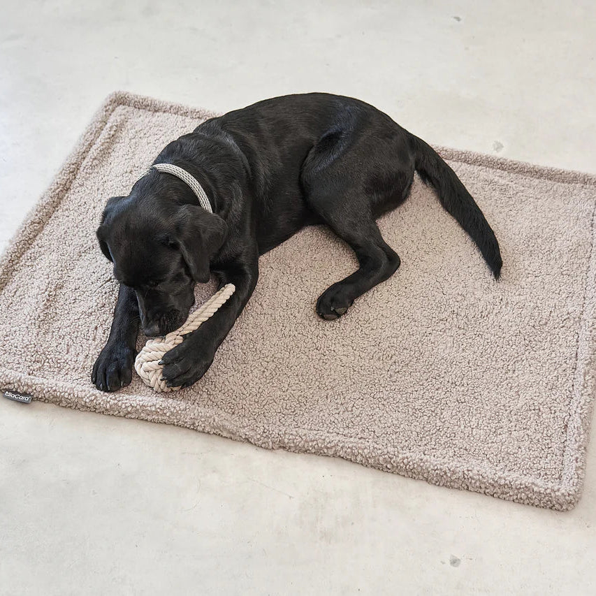 MiaCara Senso Hundedecke- hochwertige Kuscheldecke für Hunde – Martha's