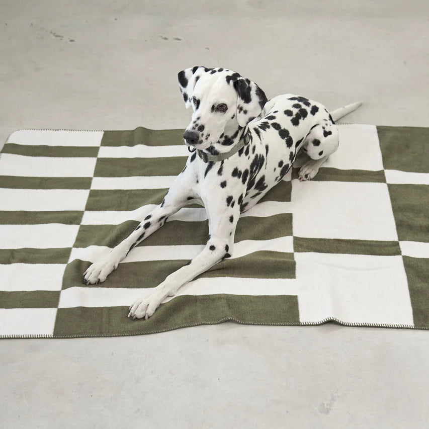Blocco Hunde und Katzendecke