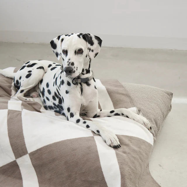 Blocco Hunde und Katzendecke