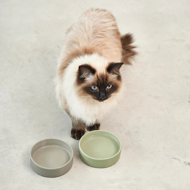 Scodella: Katzennapf für Designer