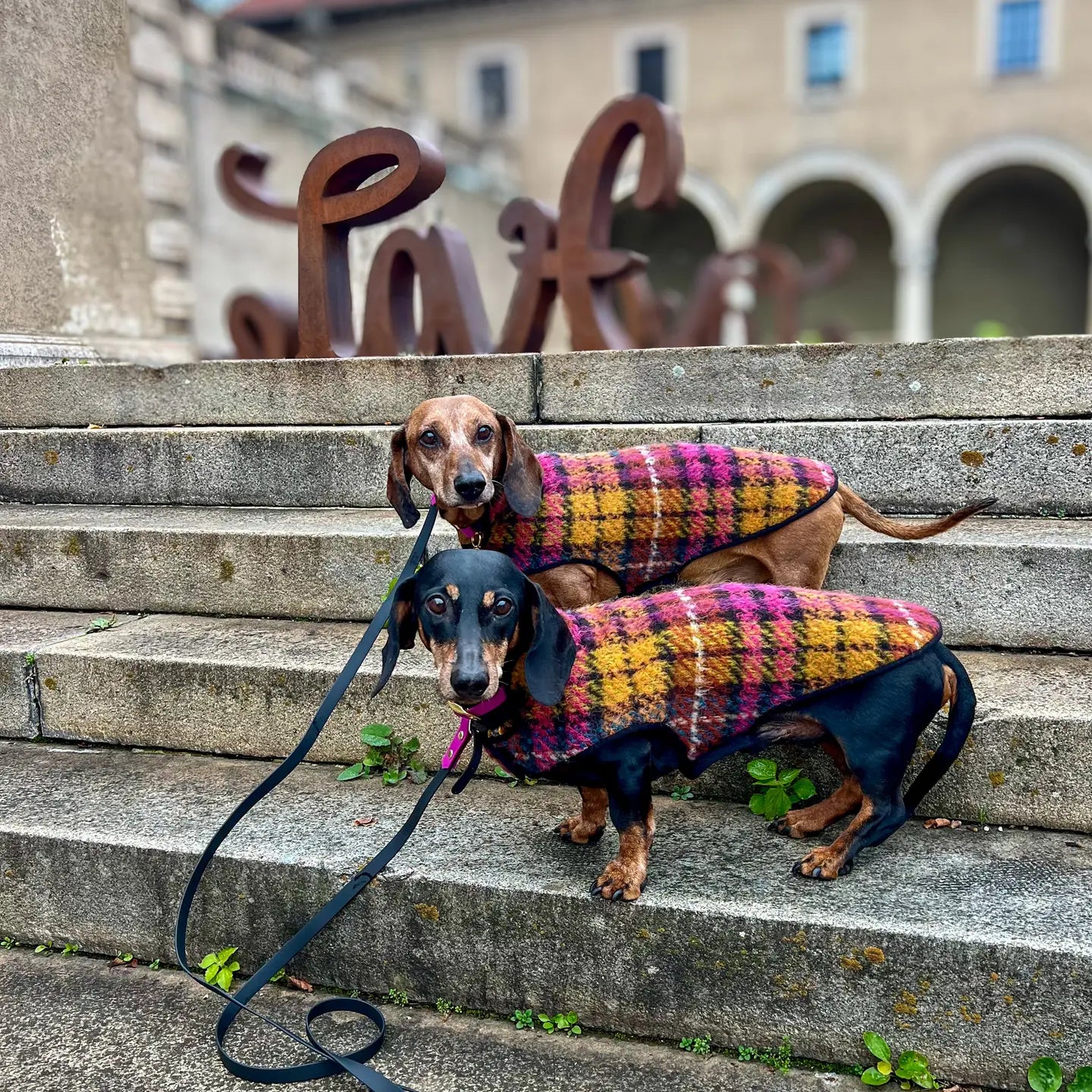 Dachshund Mantel Egon Schiele