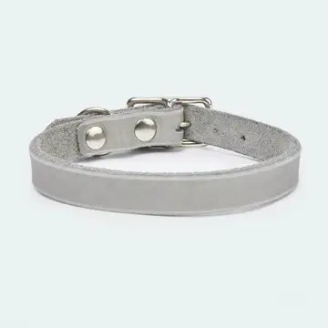 Abgerundetes Fettlederhalsband für Dackel und kleine Hunde