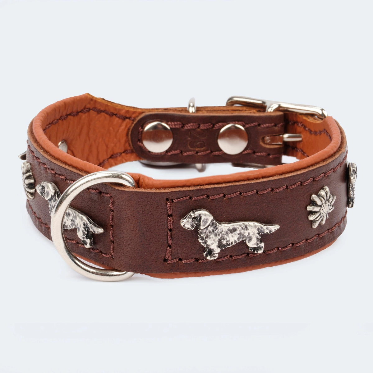 Premium Lederhalsband mit Beschlägen für Hunde und Dackel
