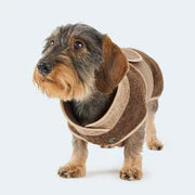 Lodenmantel aus Wolle Braun