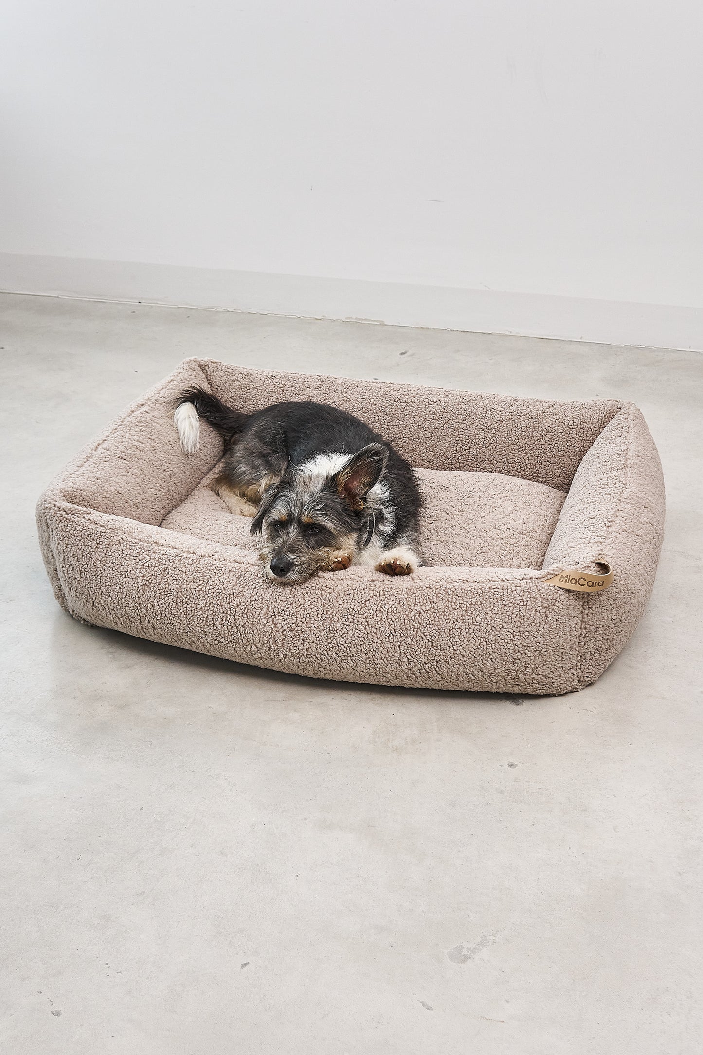 Senso Box Bett