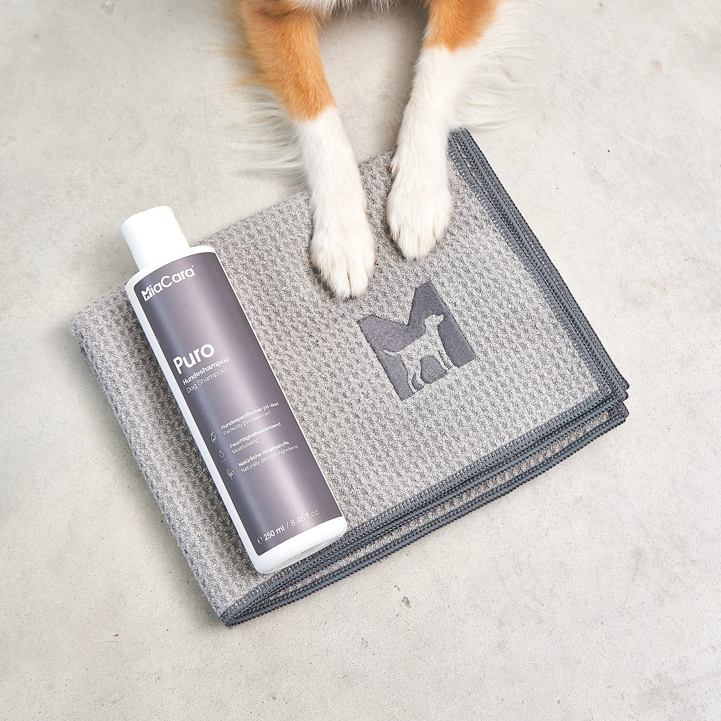 Hundeshampoo