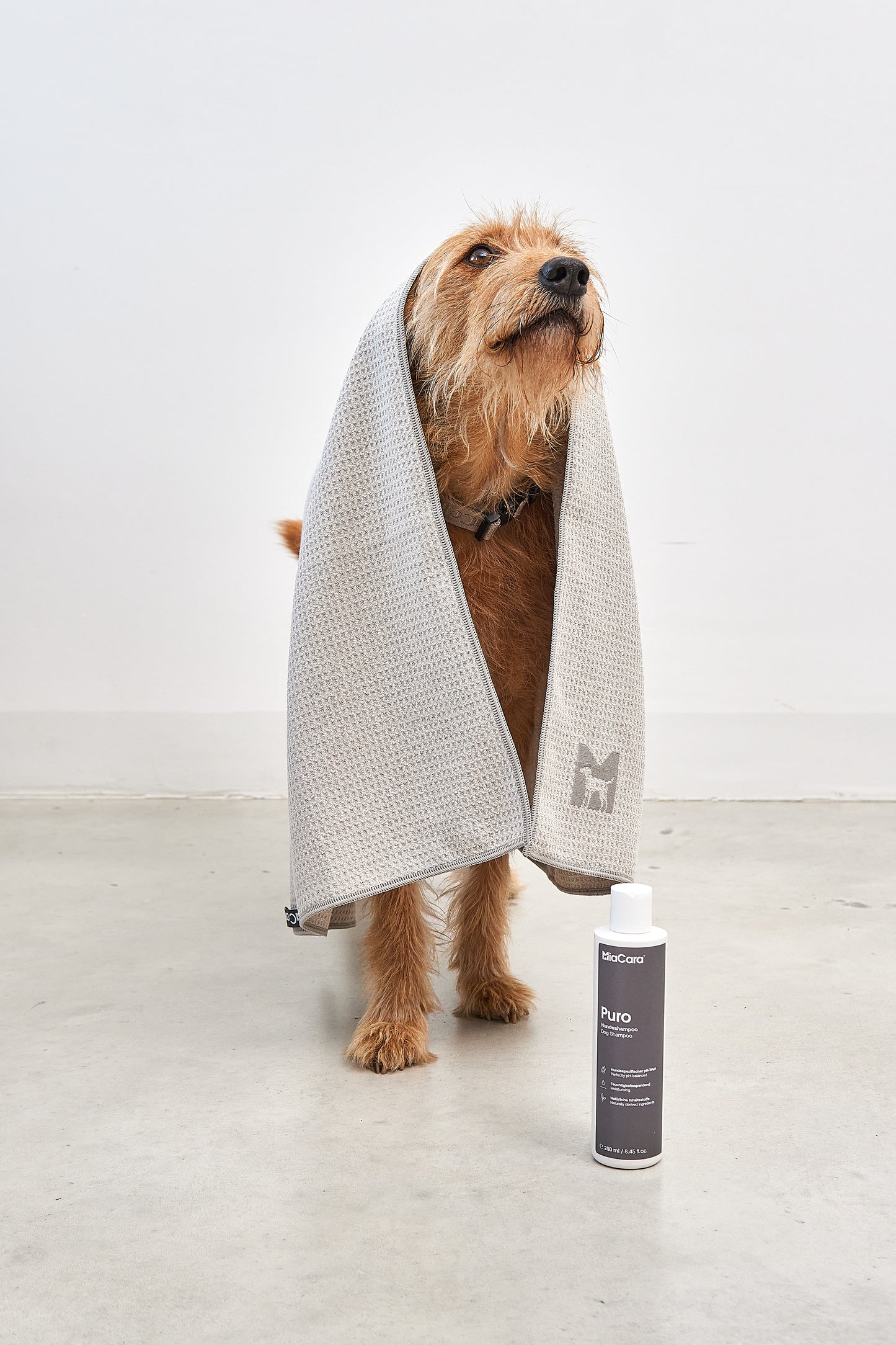 Hundeshampoo