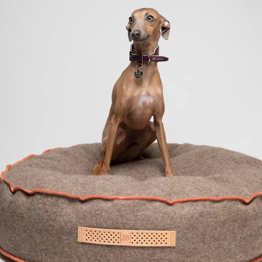 Fulvio - Hundekissen aus recycelter Wolle