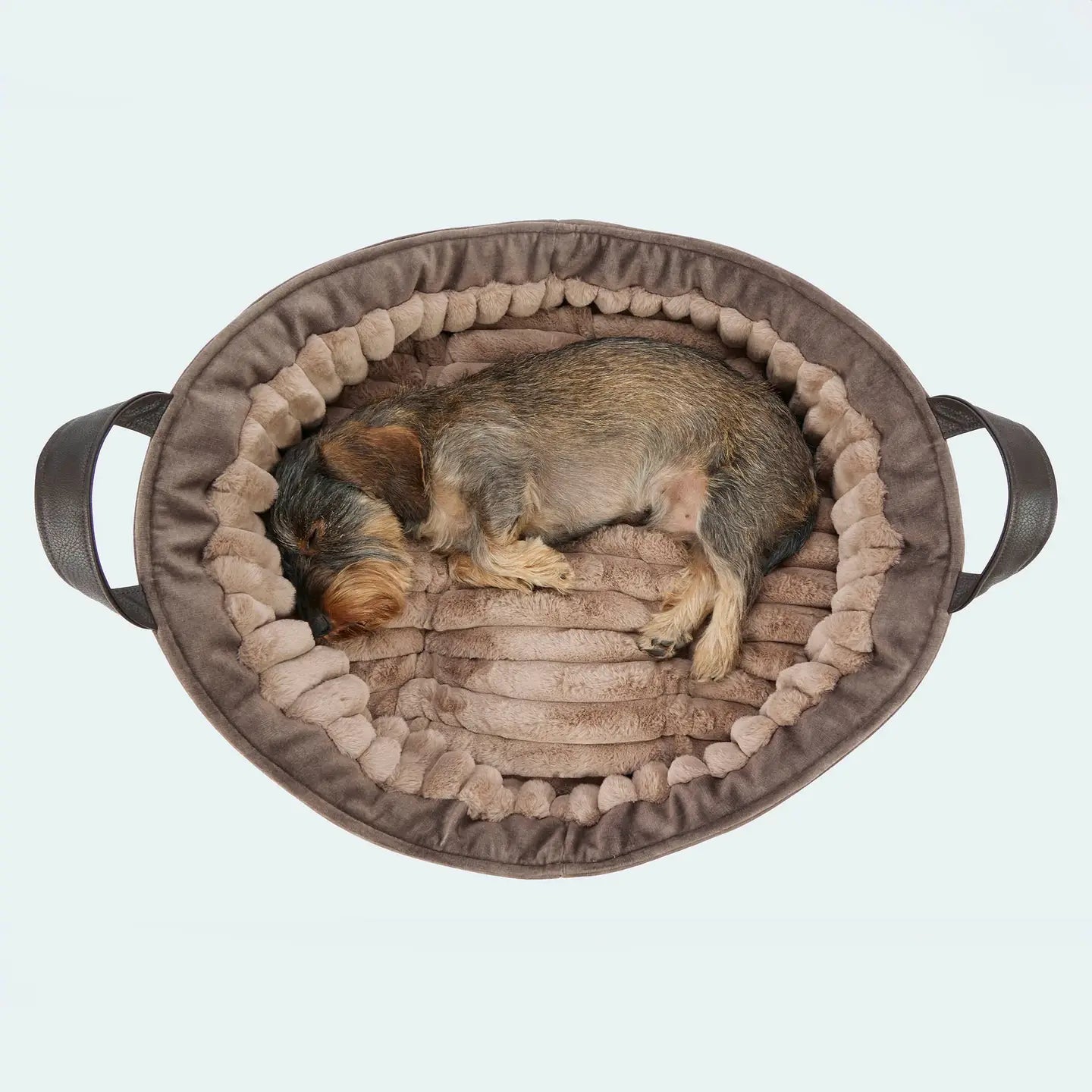 Cosy Dog Bed Deluxe