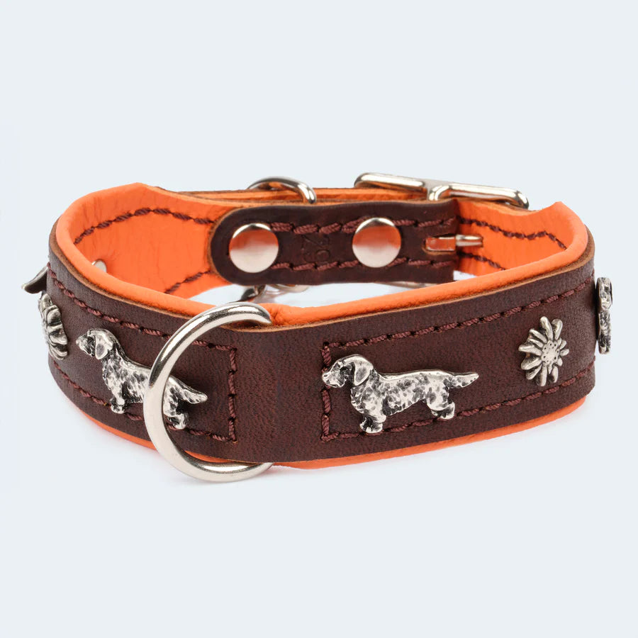 Premium Lederhalsband für Hunde und Dackel
