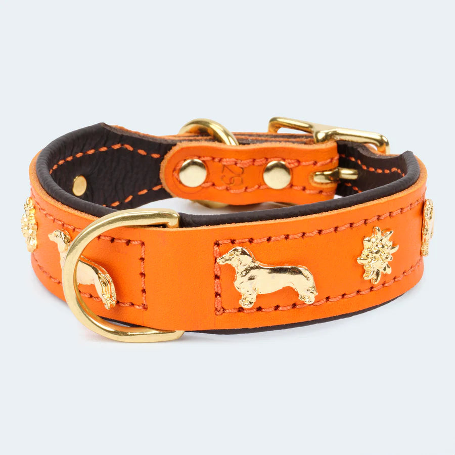 Premium Lederhalsband von Leopold's mit Beschlägen für Hunde & Dackel –  Martha's
