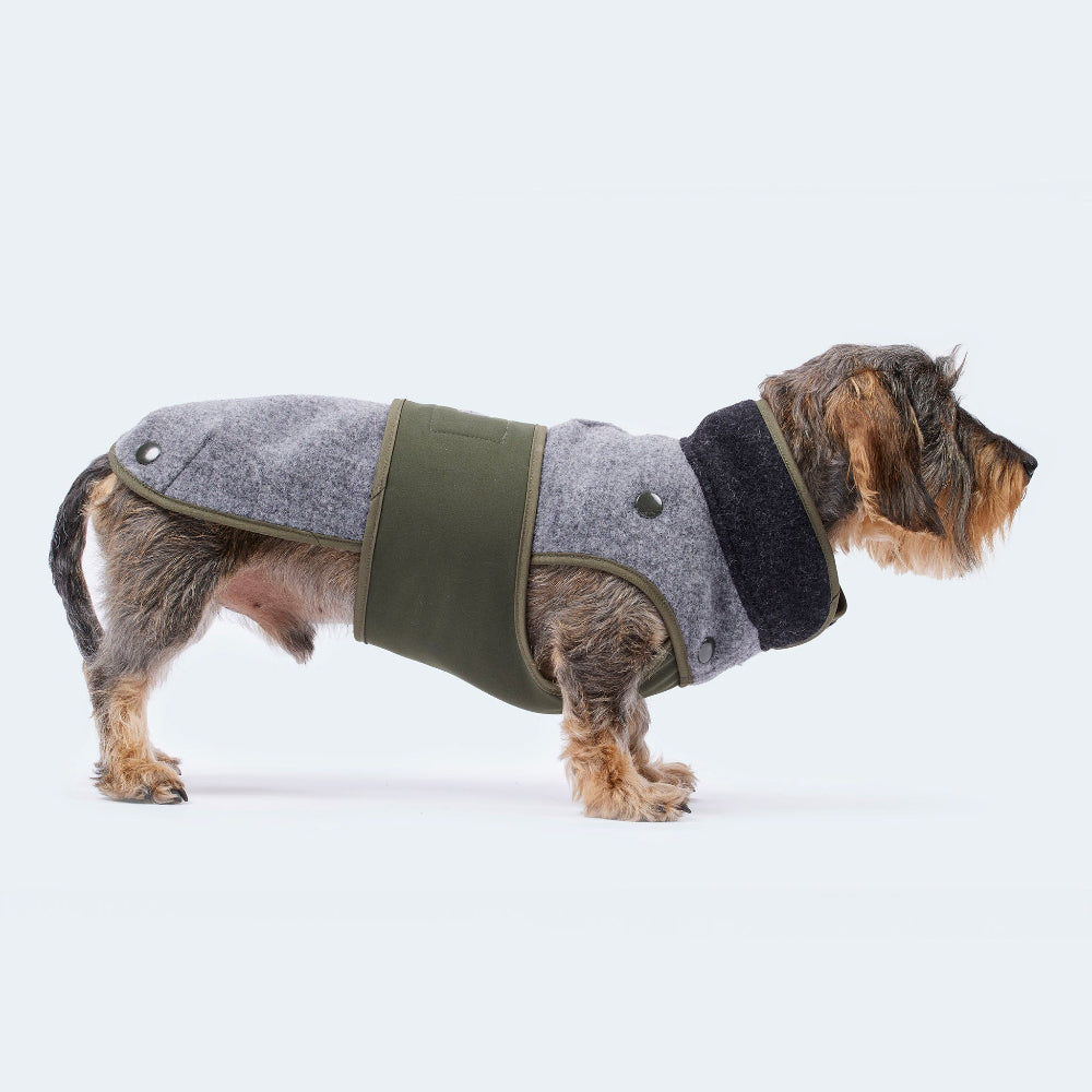 Dackel mit hellgrauem Lodenmantel aus Fleece