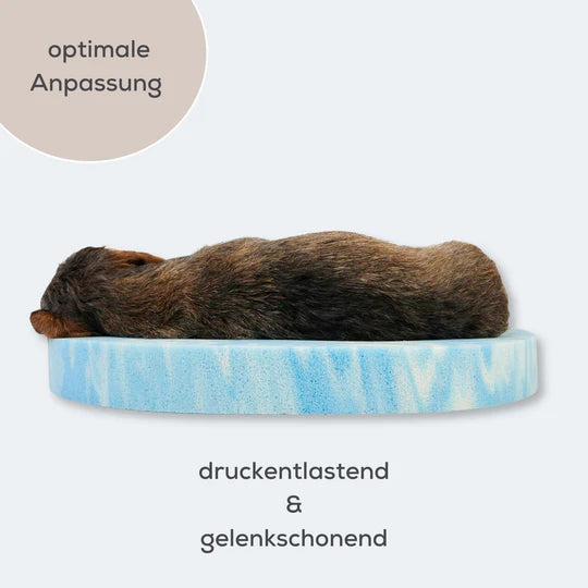 Orthopädisches Hundebett – Luxus, Komfort & Gesundheit