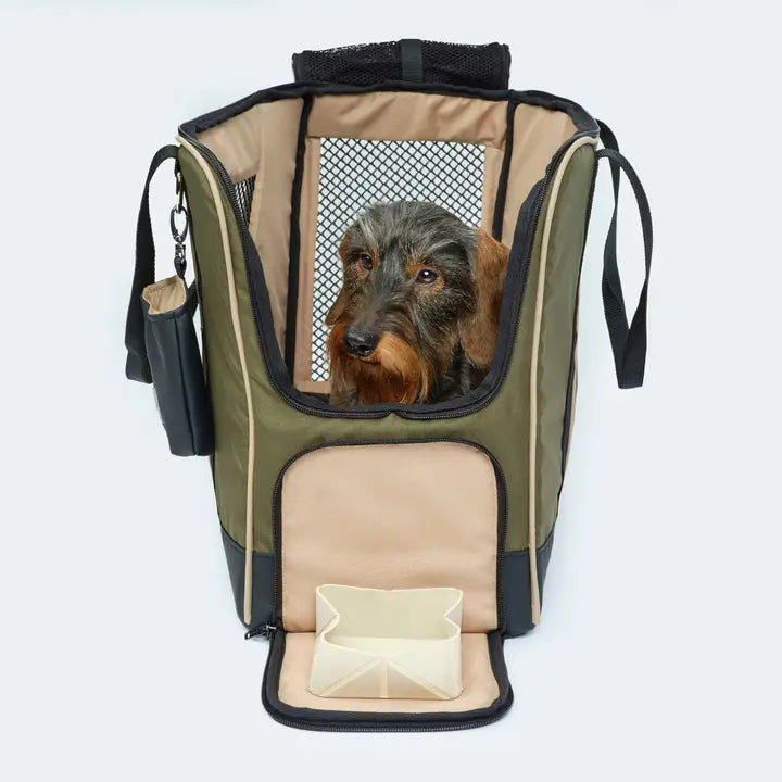 Praktische Flugtasche für Dackel und kleine Hunde in grün