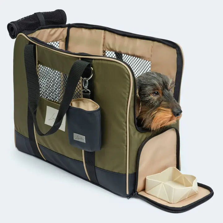 Praktische Flugtasche für Dackel und kleine Hunde in grün