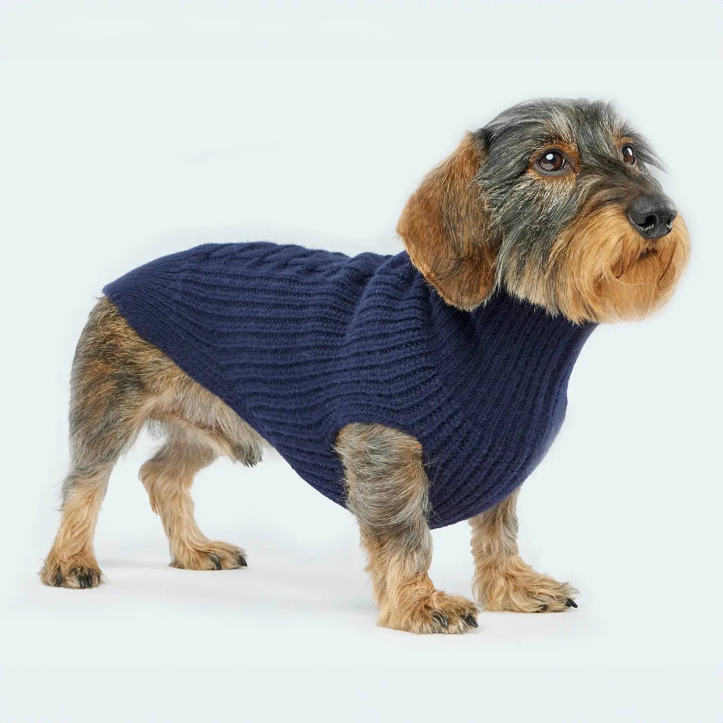 Strickpullover von Leopold’s Finest mit Zopfmuster für Herbst und Winter. Farbe: Blau