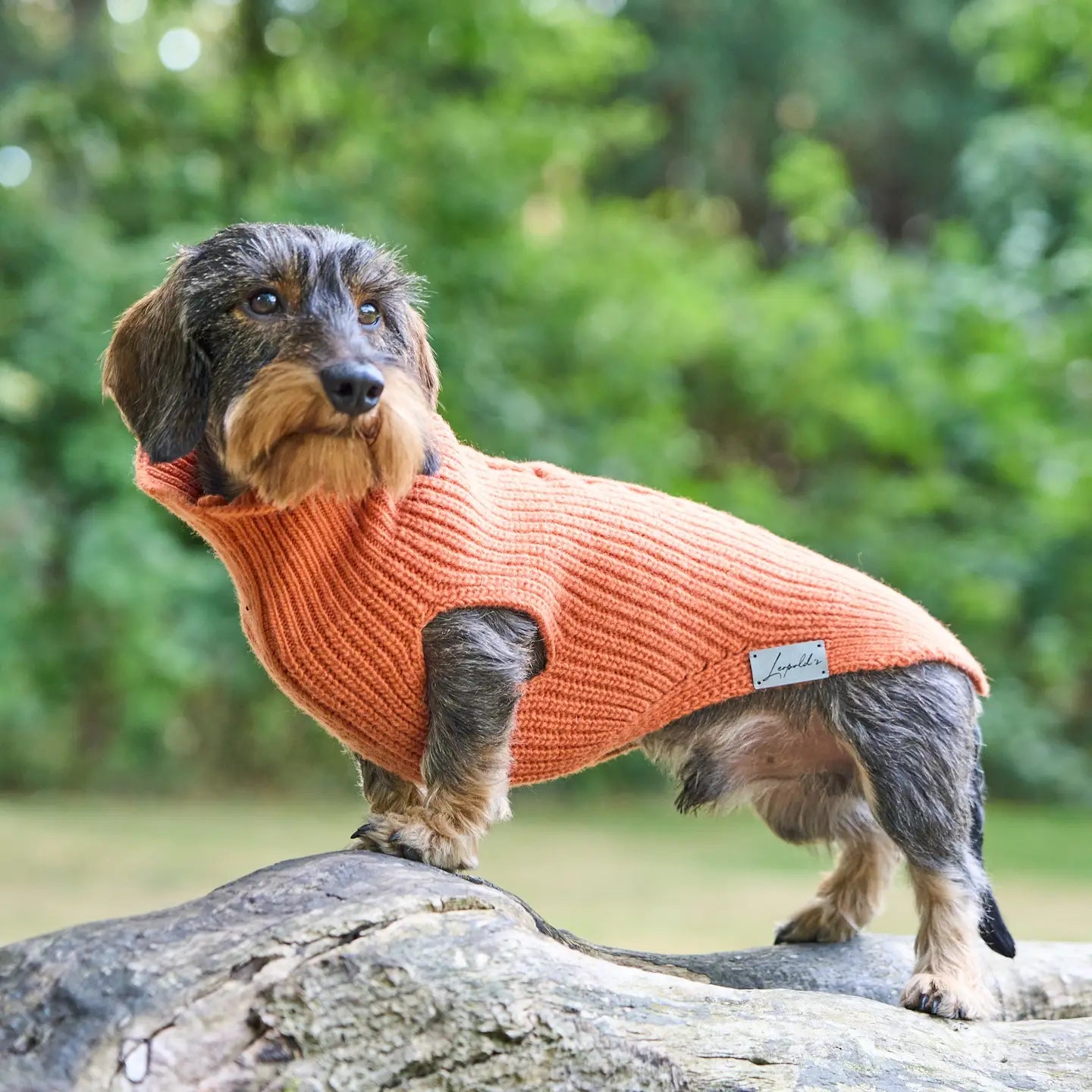 Strickpullover von Leopold’s Finest mit Zopfmuster für Herbst und Winter. Farbe: Orange