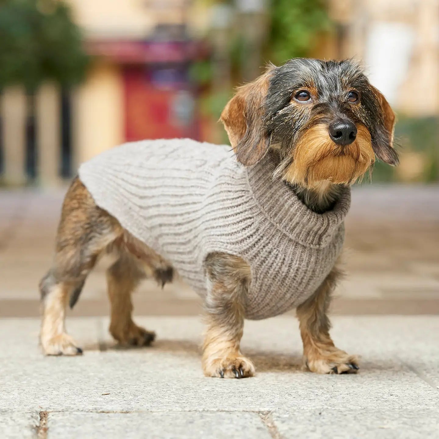 Strickpullover von Leopold’s Finest mit Zopfmuster für Herbst und Winter. Farbe: Taupe