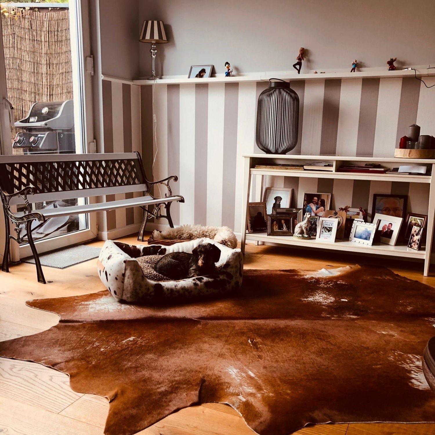 Hochwertiges und gemütlich eingerichtetes Wohnzimmer mit hochwertigem Zubehör für Hundebesitzer.