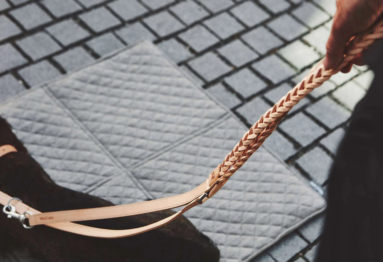 Miacara Designer-Hundeleine Bergamo aus natürlichem Flechtleder. Beschlag aus Edelstahl.