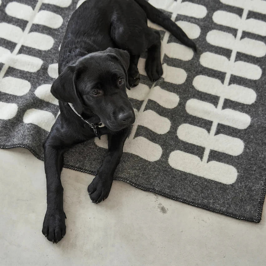 Flora - Hundedecke aus 100% Wolle
