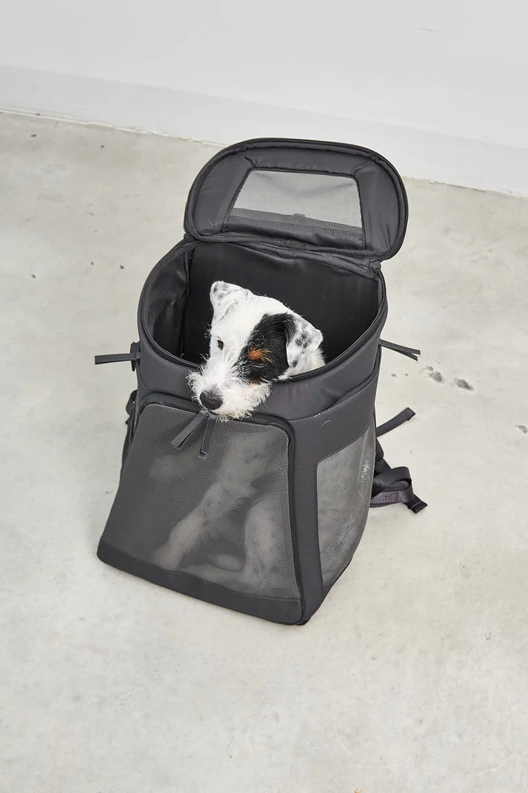 Der bequeme Zaino Hunderucksack perfekt für aktive Hundebesitzer. Aus robustem Polyester.