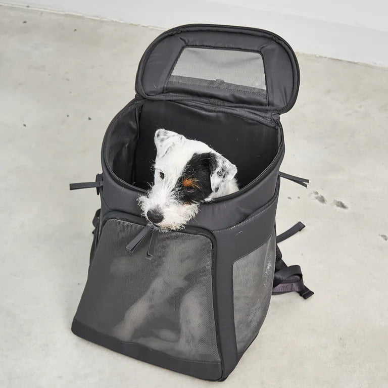 Der bequeme Zaino Hunderucksack perfekt für aktive Hundebesitzer. Aus robustem Polyester.