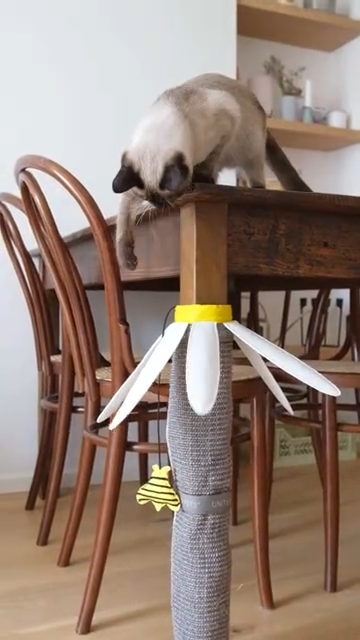 Katzenkratzbaum für Tischbeine in Form einer Gänseblume.