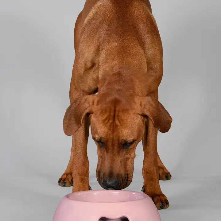 Großer Napf, stilvoll und umweltfreundlich für Hunde und Katzen geeignet. Farbe rosa