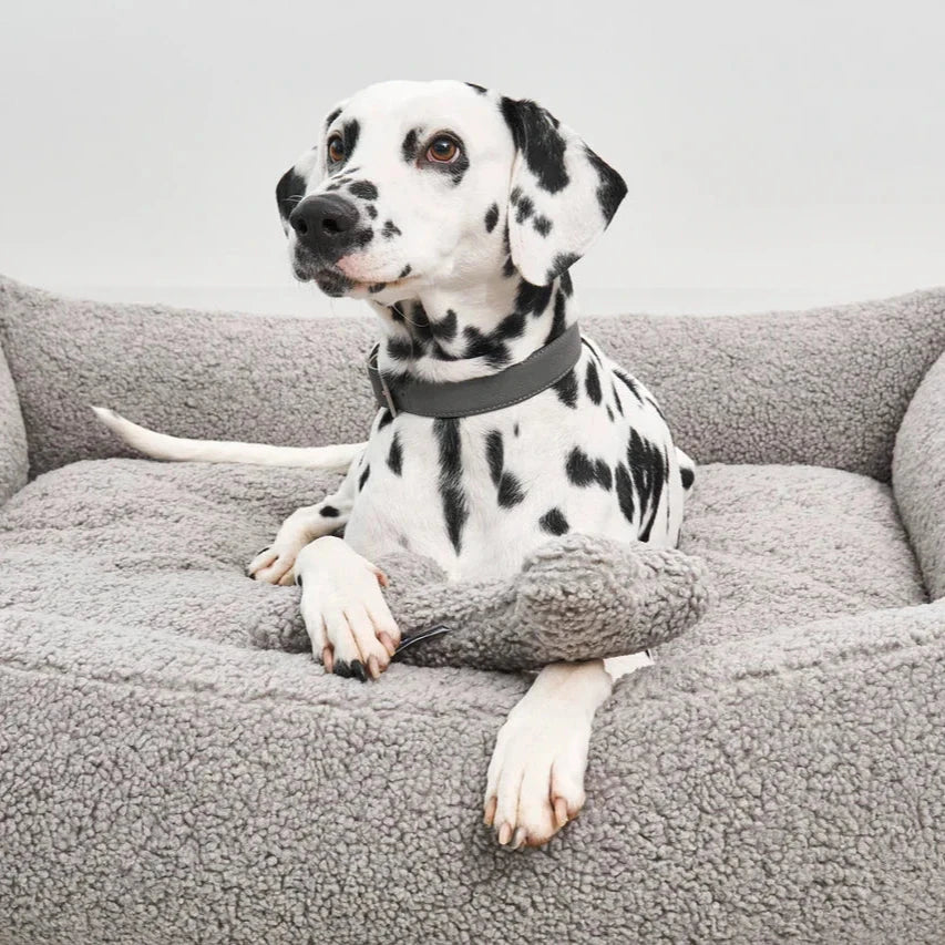 Weiß schwarz gefleckter Hund mit Hundespielzeug Knochen auf Hundebett von Miacara 