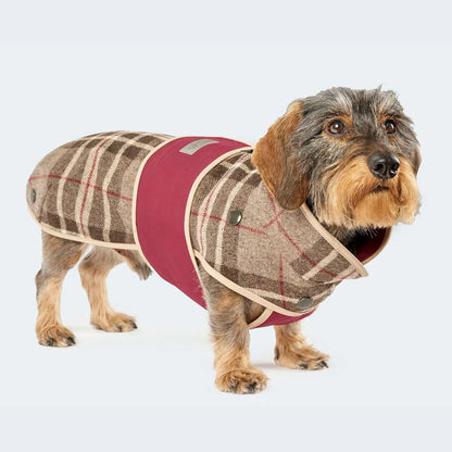 Lodenmantel aus Wolle - Softshell Glencheck braun