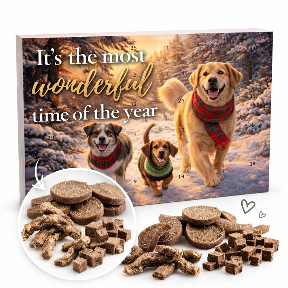 Adventskalender für Hunde - 24 Tage Freude