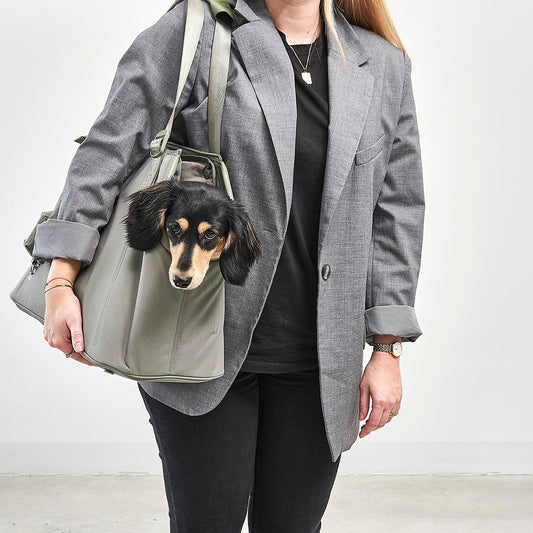 Sporta Hundetragetasche