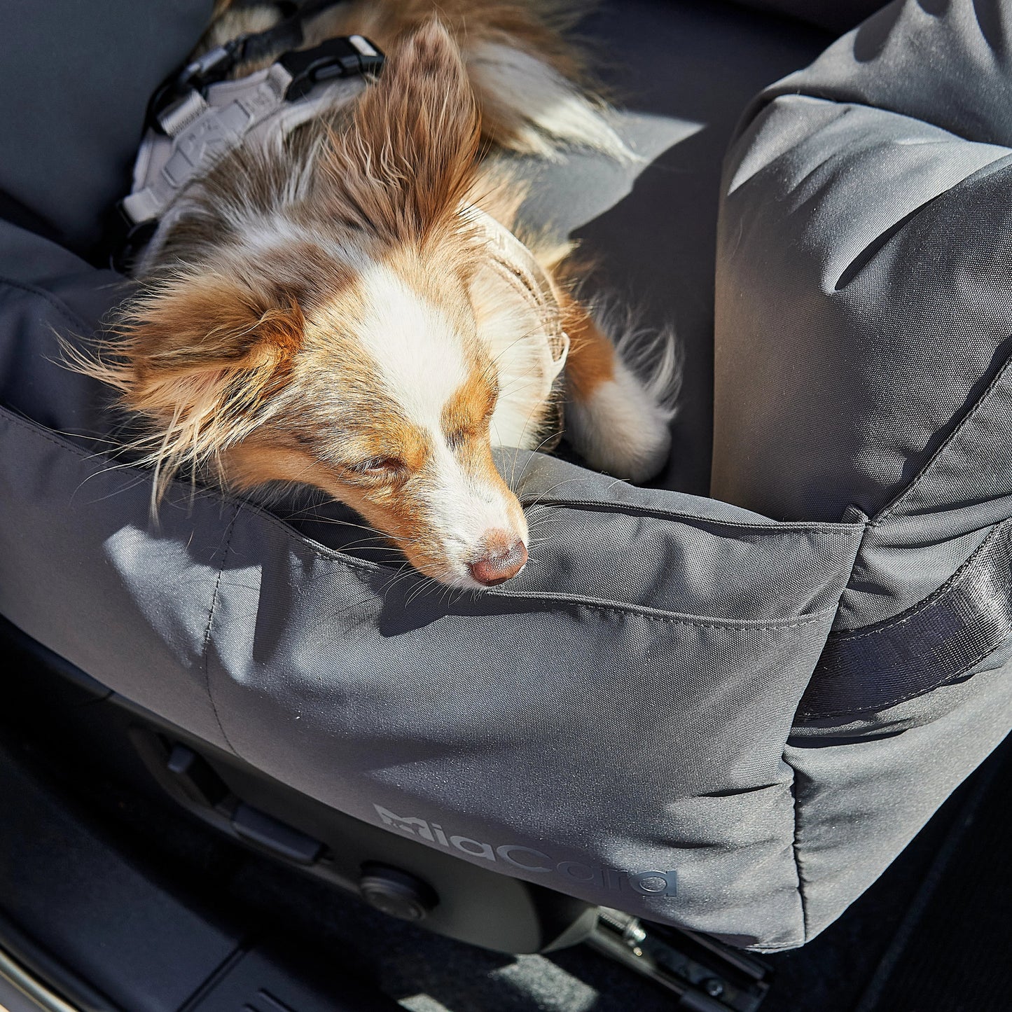 Design Autositz für Hunde - Sicher reisen. Stilvoll ankommen.