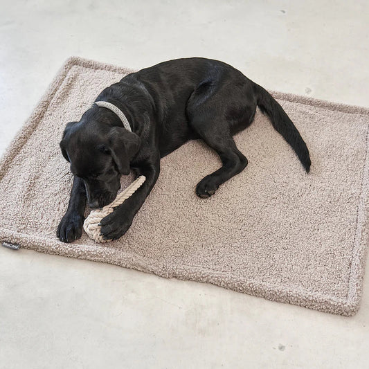 MiaCara Senso Hundedecke