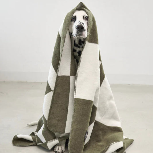 Blocco Hunde und Katzendecke