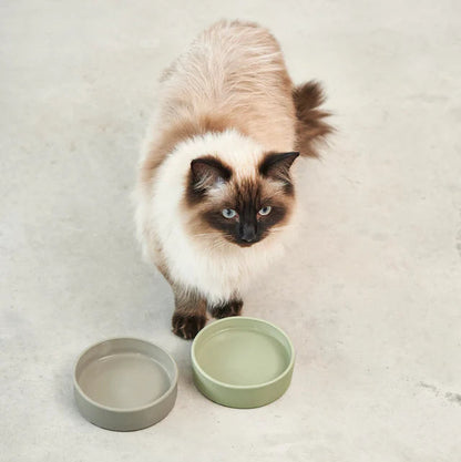 Scodella: Katzennapf für Designer