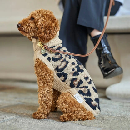 Strickpullover mit Leoparden-Muster für Dackel und kleine Hunde