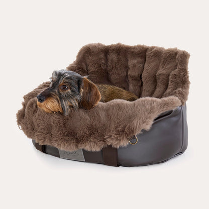 Autotasche für Hunde - Sicher und stilvoll unterwegs