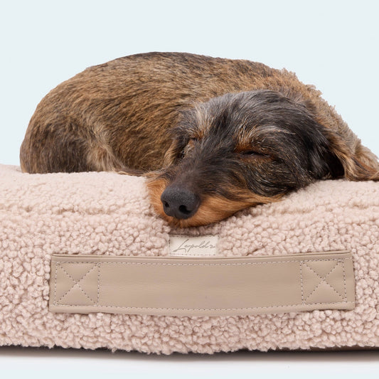Orthopädisches Hundekissen für Dackel & kleine Hunde – Alpin kuschelig