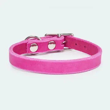 Abgerundetes Fettlederhalsband für Dackel und kleine Hunde