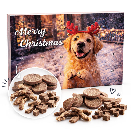 Adventskalender für Hunde - 24 Tage Freude