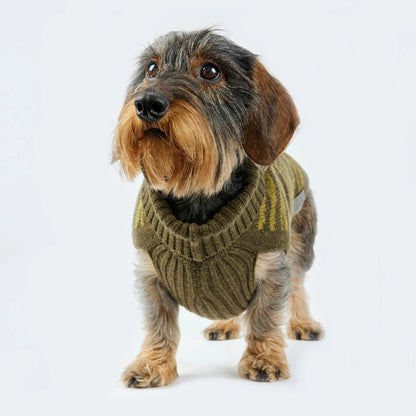 Strickpullover mit Zebra-Muster für Dackel und kleine Hunde