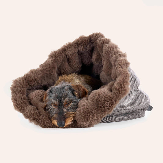 Kuschelsack für Hunde Loden  - ein kleines Versteck für große Kuschelfans