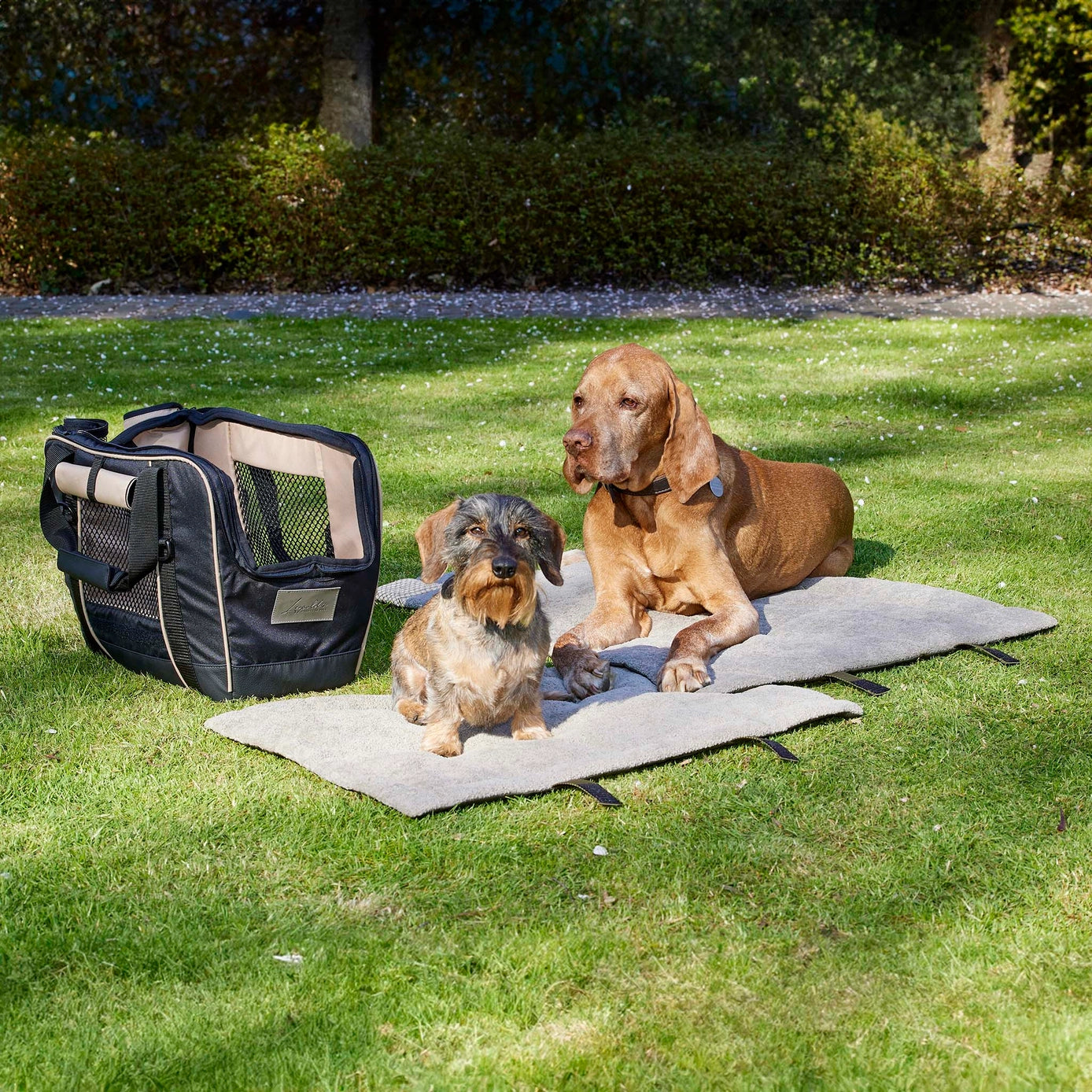 Hundematte Outdoor