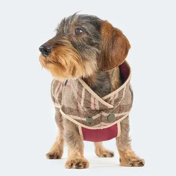 Lodenmantel aus Wolle - Softshell Glencheck braun