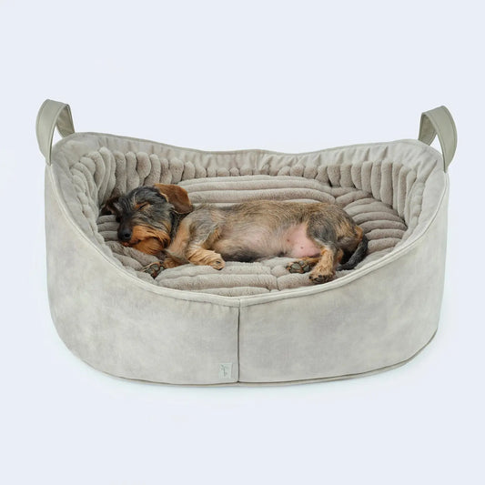 Hundebett Velvet Oyster
