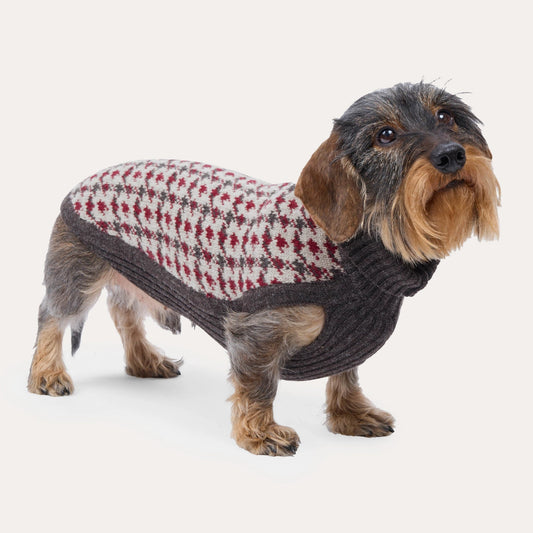 Strickpullover Karo - für Dackel und kleine Hunde