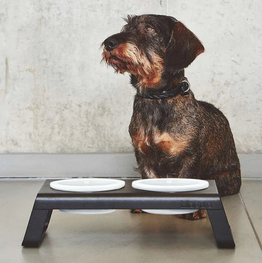 Desco – Design Futterstation aus Aluminium mit Porzellannäpfen